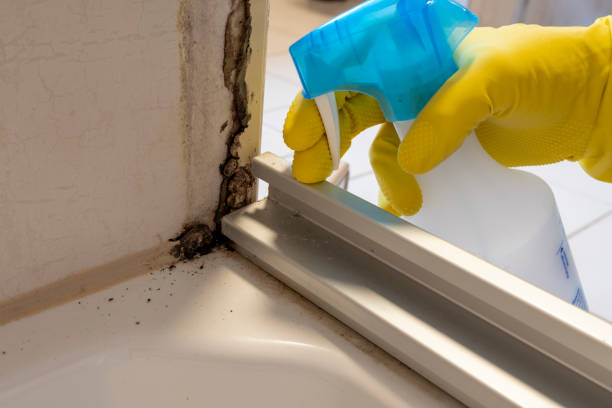 Best Residential Mold Removal  in Newberry, FL