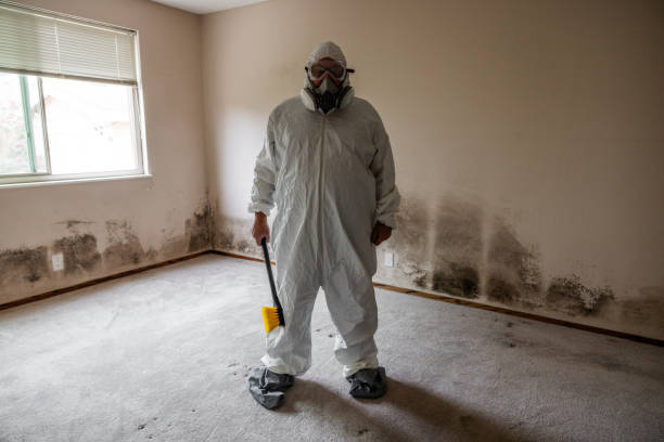 Best Certified Mold Removal  in Newberry, FL